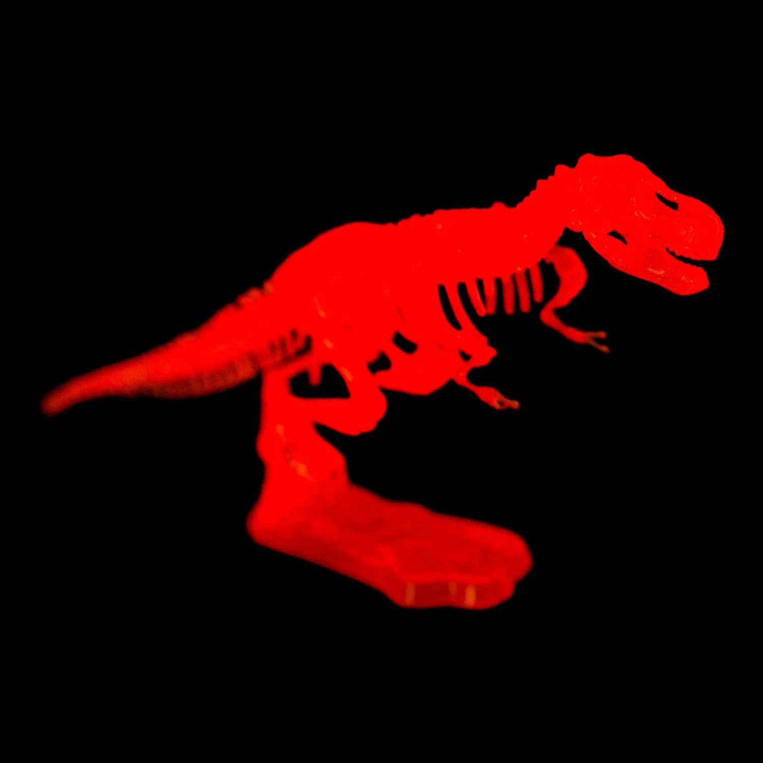 OUT OF THE BLUE – DIY Dinosaurier Skelett Bausatz | Glow-in-the-Dark Dino | Zufälliges Modell, ca. 20 cm